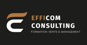 EFFICOM CONSULTING logo